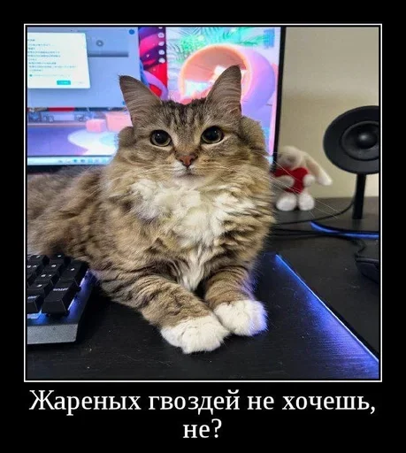  – стикер для Telegram