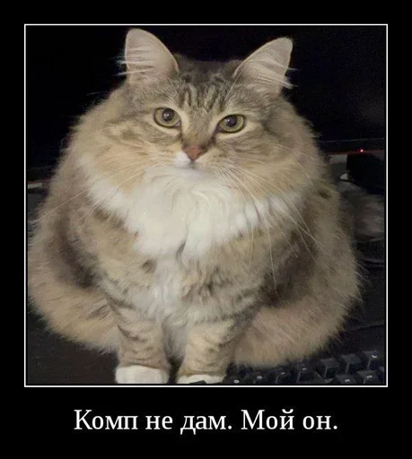  – стикер для Telegram
