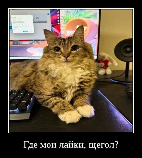  – стикер для Telegram
