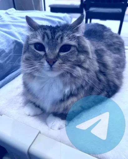  – стикер для Telegram