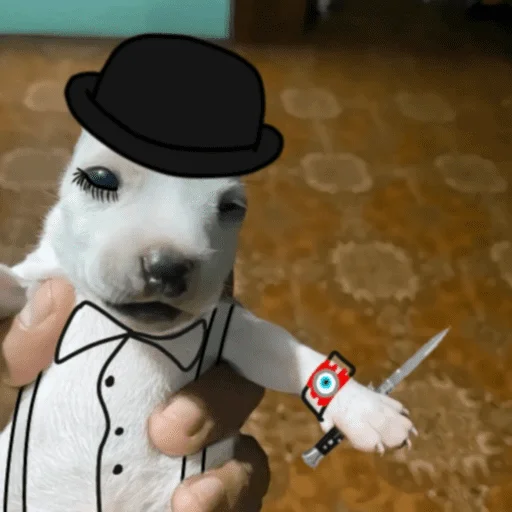 – стикер для Telegram