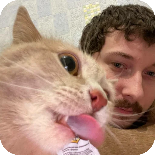  – стикер для Telegram