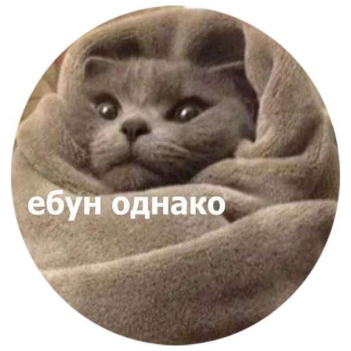  – стикер для Telegram