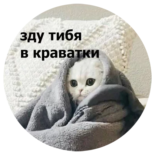  – стикер для Telegram