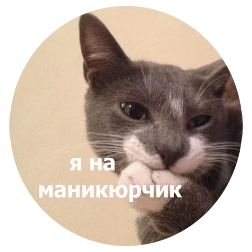  – стикер для Telegram