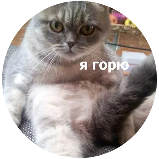  – стикер для Telegram
