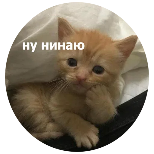  – стикер для Telegram