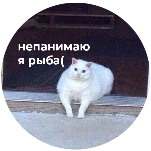  – стикер для Telegram