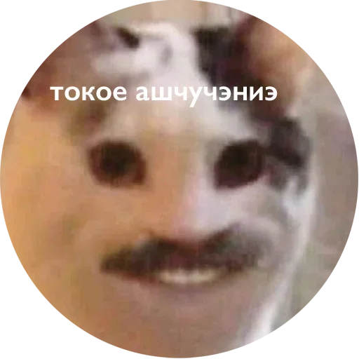  – стикер для Telegram