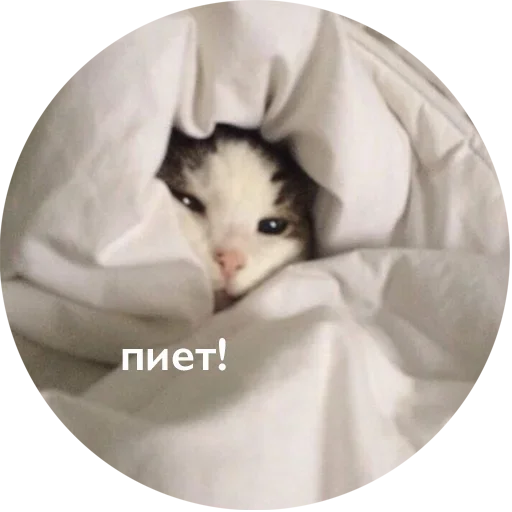  – стикер для Telegram