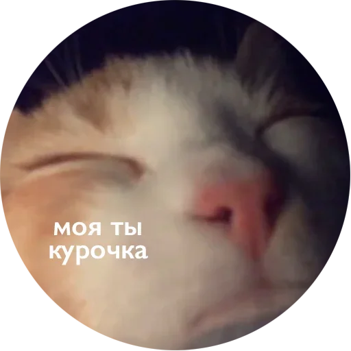  – стикер для Telegram