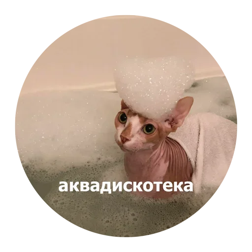  – стикер для Telegram