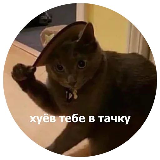  – стикер для Telegram