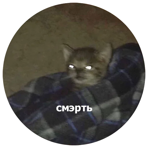  – стикер для Telegram