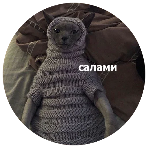  – стикер для Telegram