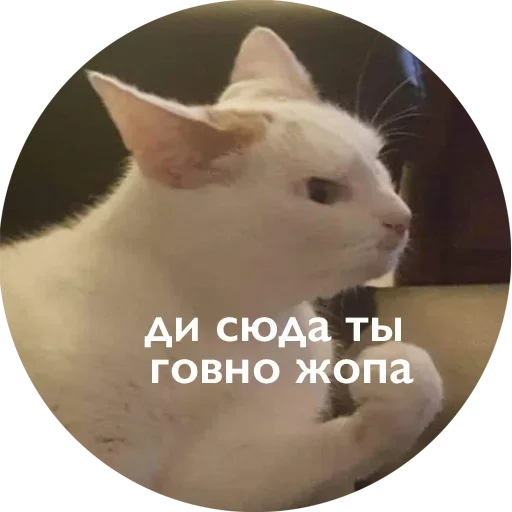  – стикер для Telegram