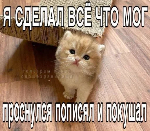  – стикер для Telegram