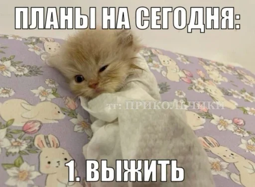  – стикер для Telegram
