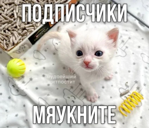  – стикер для Telegram