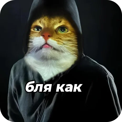  – стикер для Telegram