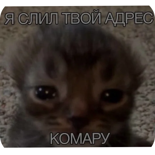  – стикер для Telegram
