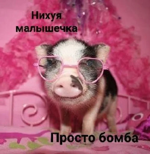  – стикер для Telegram
