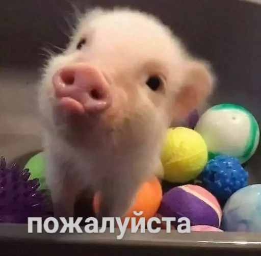  – стикер для Telegram
