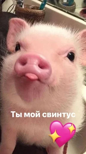  – стикер для Telegram