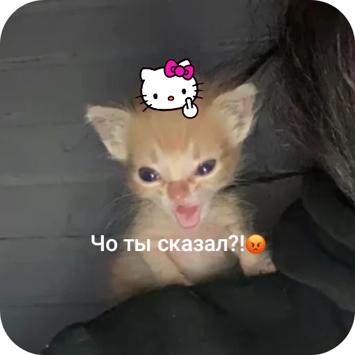  – стикер для Telegram