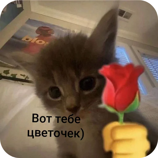  – стикер для Telegram