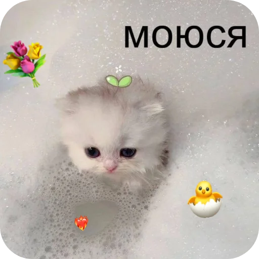  – стикер для Telegram