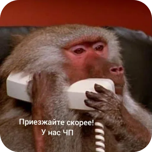  – стикер для Telegram