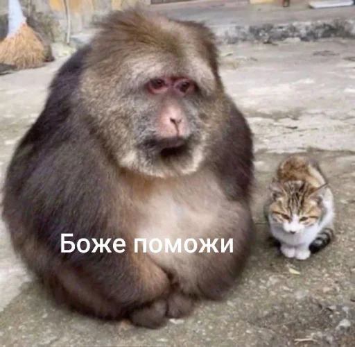  – стикер для Telegram