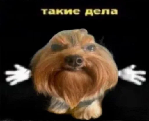  – стикер для Telegram