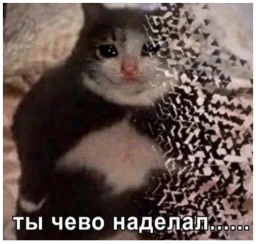  – стикер для Telegram