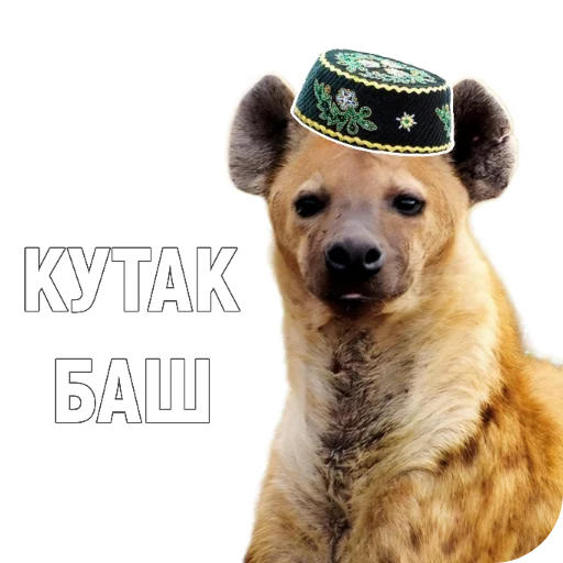  – стикер для Telegram