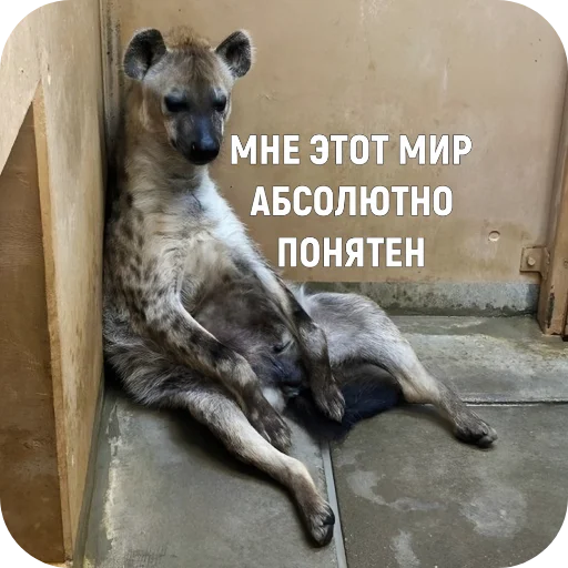  – стикер для Telegram
