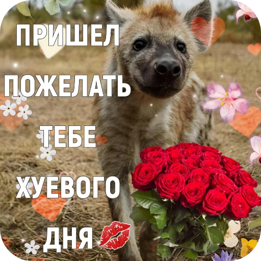  – стикер для Telegram