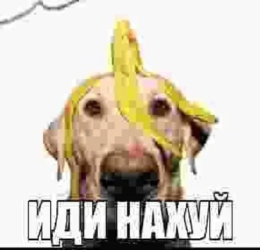  – стикер для Telegram