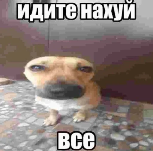  – стикер для Telegram