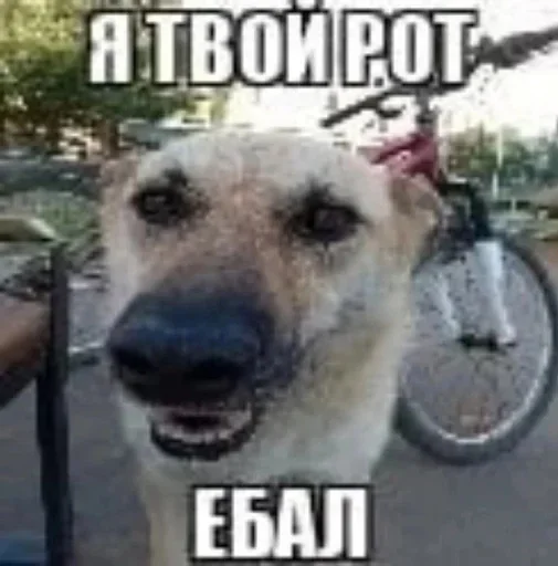  – стикер для Telegram