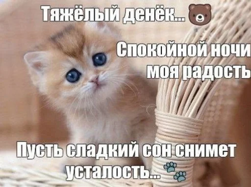  – стикер для Telegram